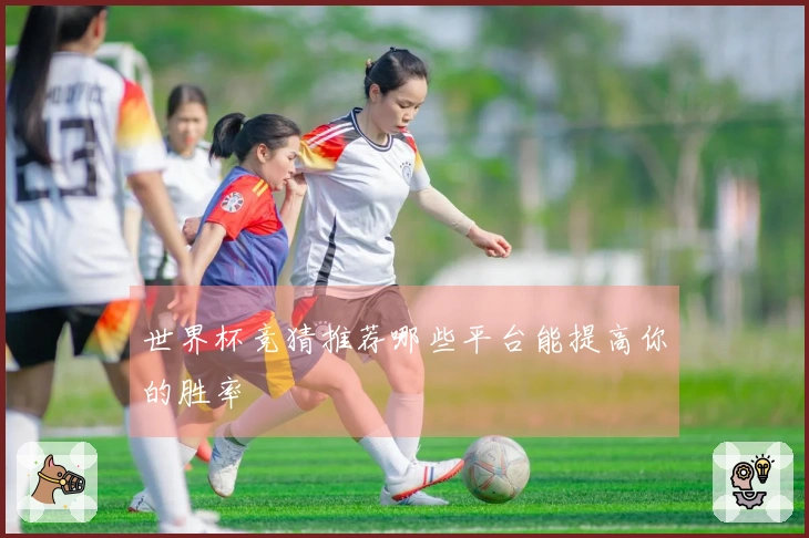 世界杯竞猜推荐哪些平台能提高你的胜率
