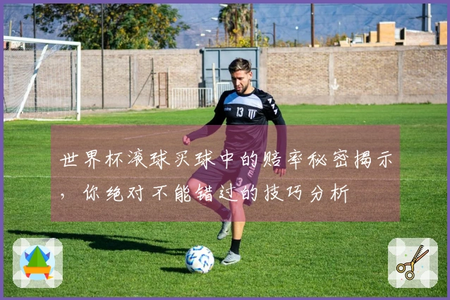 世界杯滚球买球中的赔率秘密揭示，你绝对不能错过的技巧分析