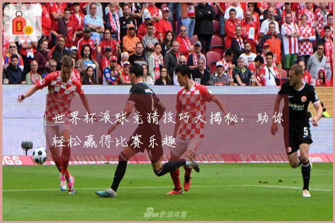 世界杯滚球竞猜技巧大揭秘，助你轻松赢得比赛乐趣
